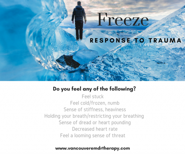 Freeze Response to Trauma