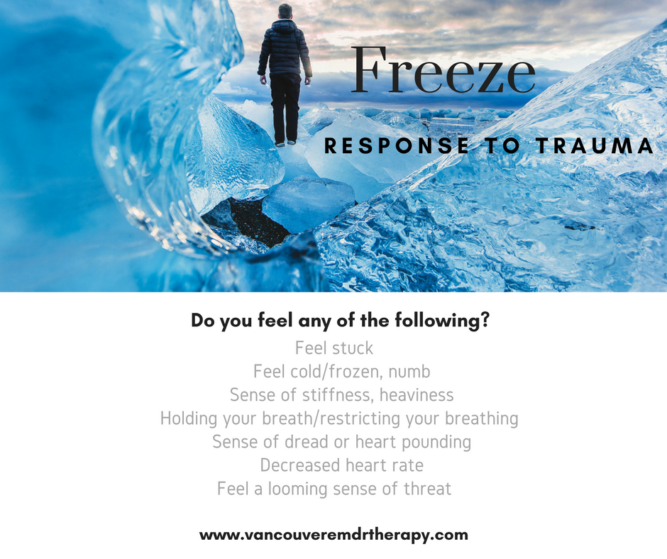 Freeze Response to Trauma